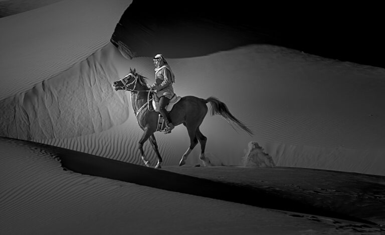 Yomn Almonla - DSC6561